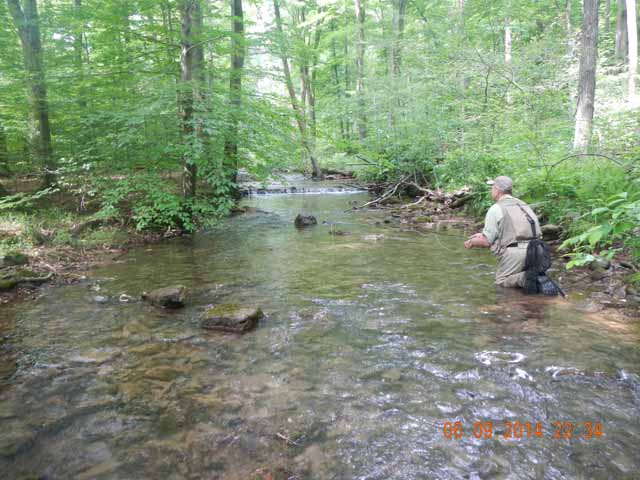 fowlers hollow.Laural run 06-09-14 093.jpg -                                